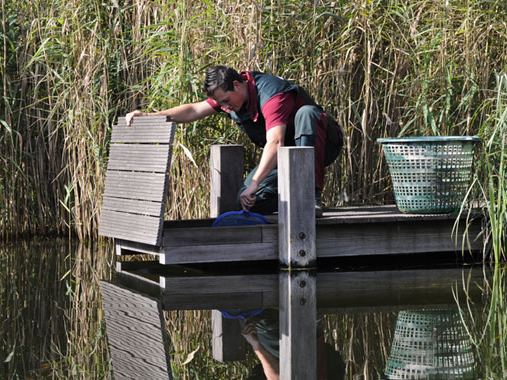 Teichpflege und Wartung vom Schwimmteich oder Naturpool