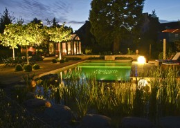 Indirekte Gartenbeleuchtung im Wasser und für Pflanzen, da sind wir professionell
