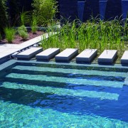 pool und grüne Filterzone kombiniert mit einem fertigen Becken von Rivierapool
