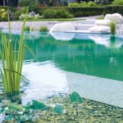 Schwimmteich mit klarem Wasser und biologischer Filterung