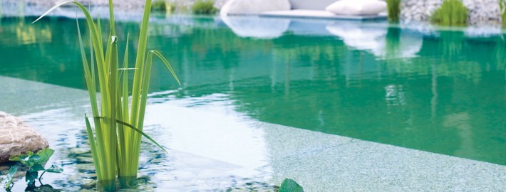 Schwimmteich mit klarem Wasser und biologischer Filterung