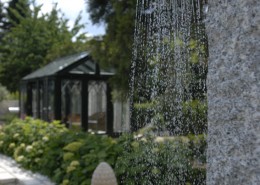 Schwimmteich, Wasser, Lebenselexier, Gartendusche